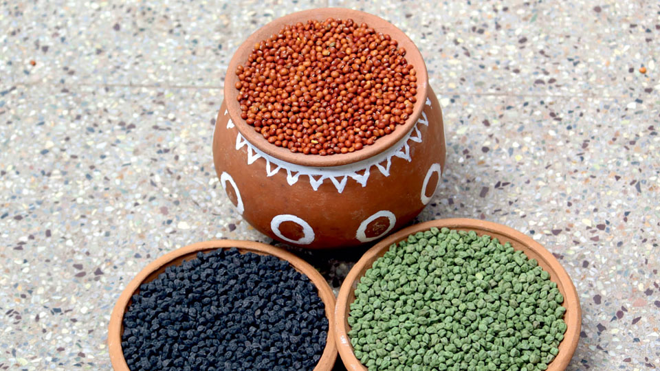 Two-day Desi Dal Mela in Mysuru from tomorrow