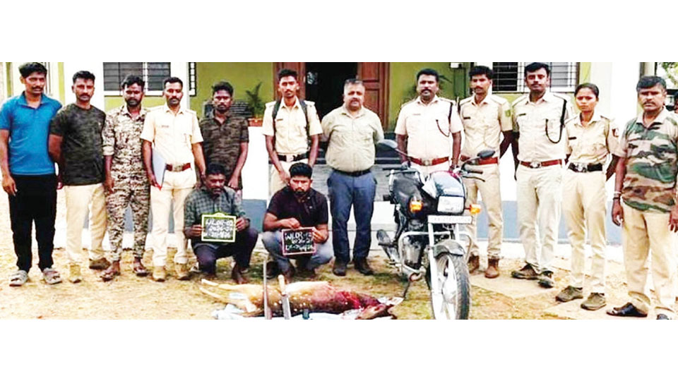 Two poachers held for hunting deer