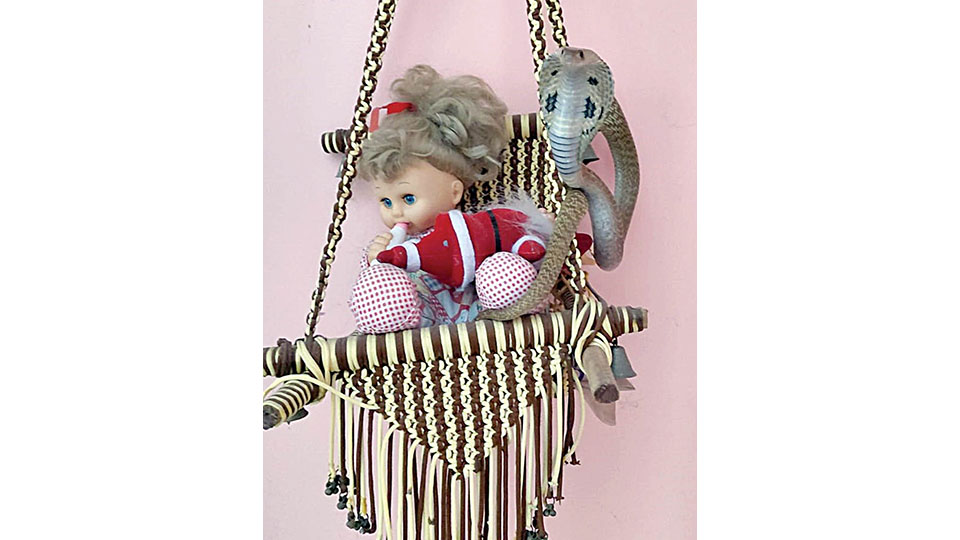 Cobra rescued from house in Hebbal