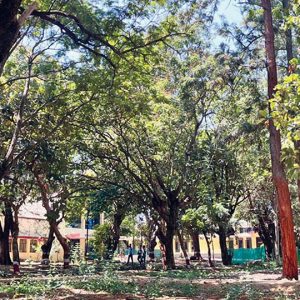 5.8-acre land returned to KSIC filature factory