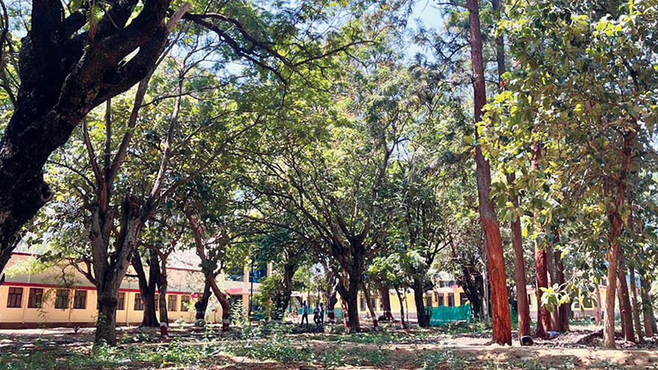 land returned to KSIC filature factory