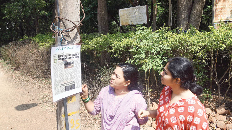 Star of Mysore report turns into poster campaign