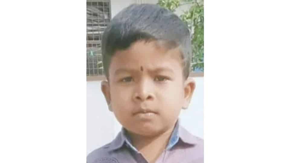 Boy dies after getting caught in a hammock