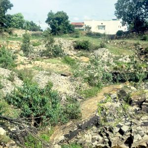Defunct mining land turns hotspot for illegal activity