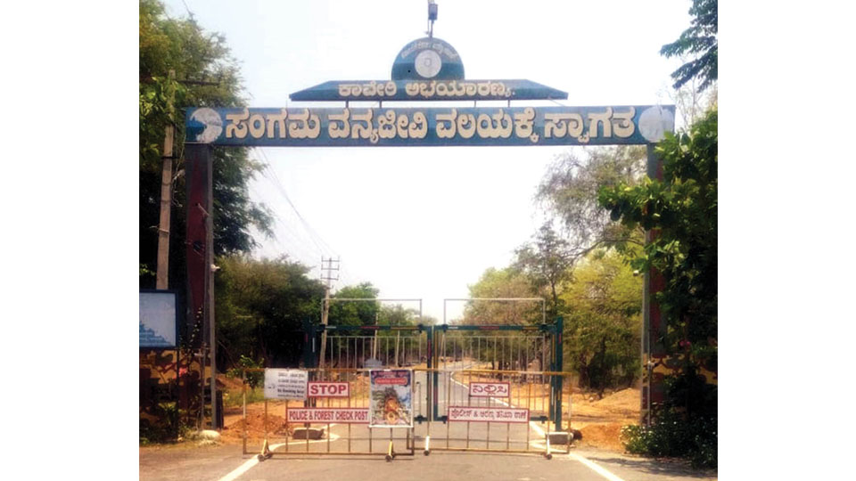 Elephant scare: Sangama, Mekedatu shut till May 3