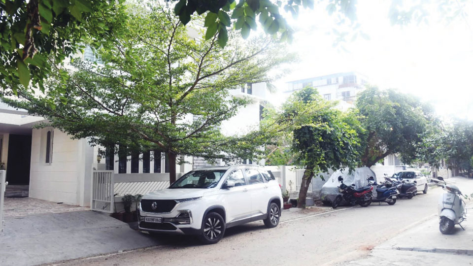 Monkeys sounded alarm before leopard sighting