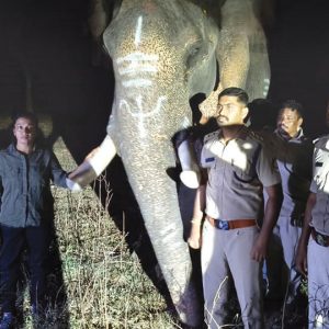 Gajendra relocated after public appeal