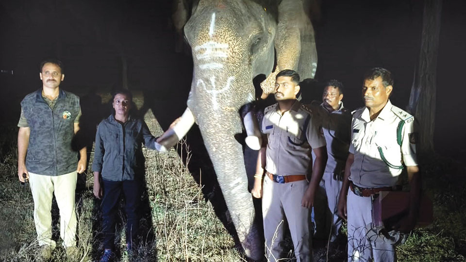 Gajendra relocated after public appeal