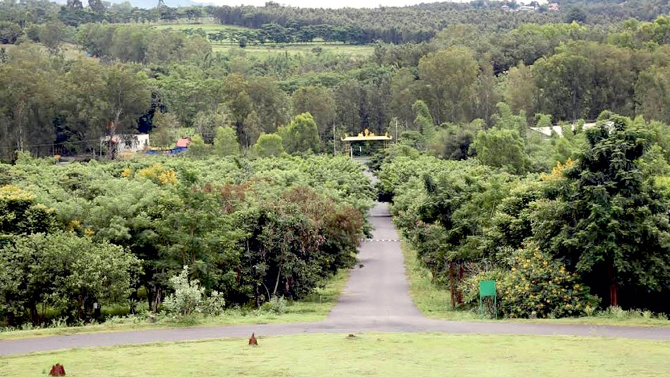 Green cover at Bylakuppe earns PM Modi’s praise