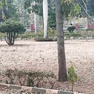 Cheluvamba Park in an awful state