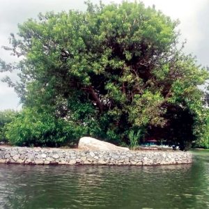Gabion walls to safeguard fragile Ranganathittu islands