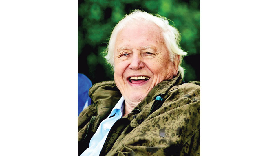 Sir David, scores a perfect century!
