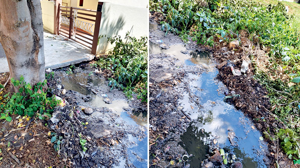 Drain overflows at Kuvempunagar