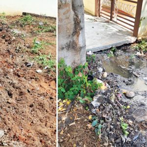 Thanks to Star of Mysore: MCC acts swiftly