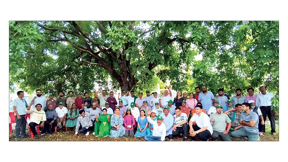 Protest mounts against plan to fell 561 trees