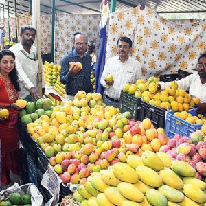 3-day mango and jackfruit mela begins