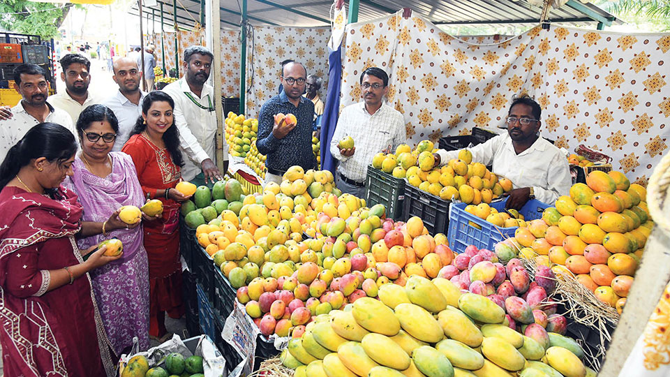 3-day mango and jackfruit mela begins