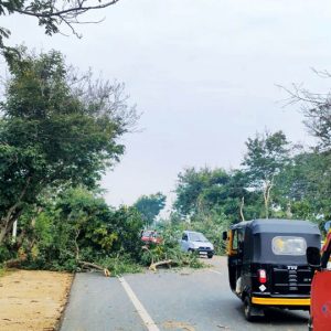 Midnight rain fury batters Mysuru