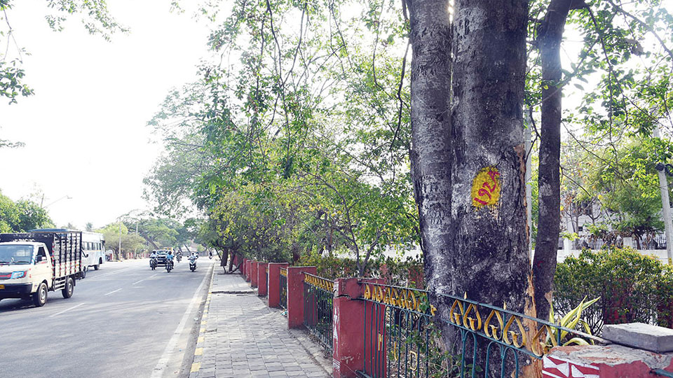 Flyover, Highway expansion projects: 561 trees to be axed