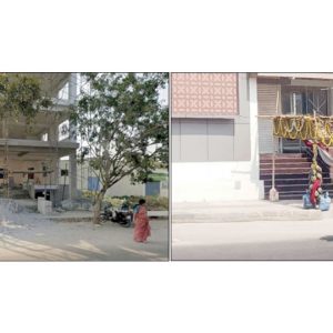 Green cover vanishes as concrete jungle expands