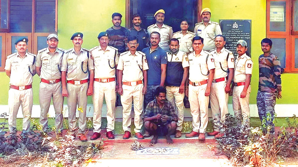 Attempt to sell pangolin scales: One held, 320 grams pangolin scales, one cellphone seized