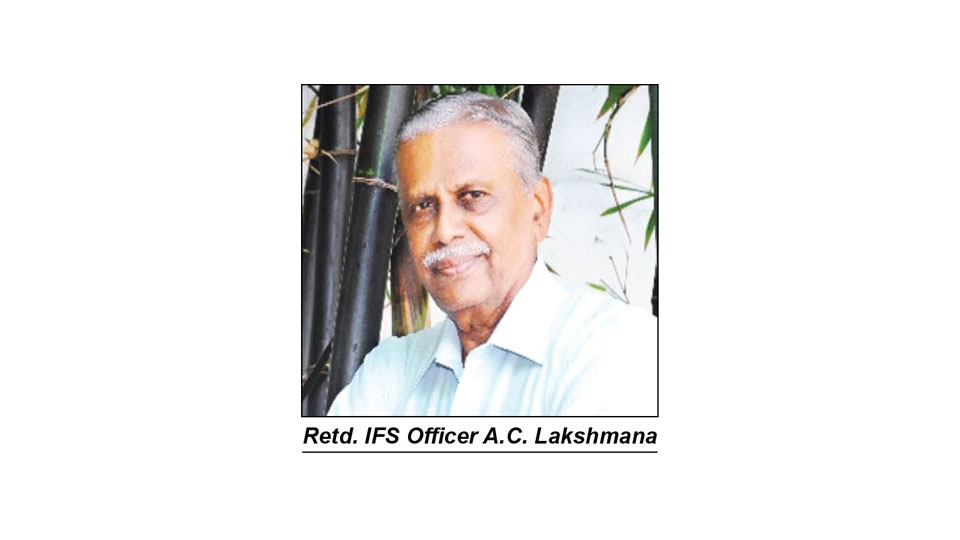 ‘Devise security measures for sandalwood plantations’