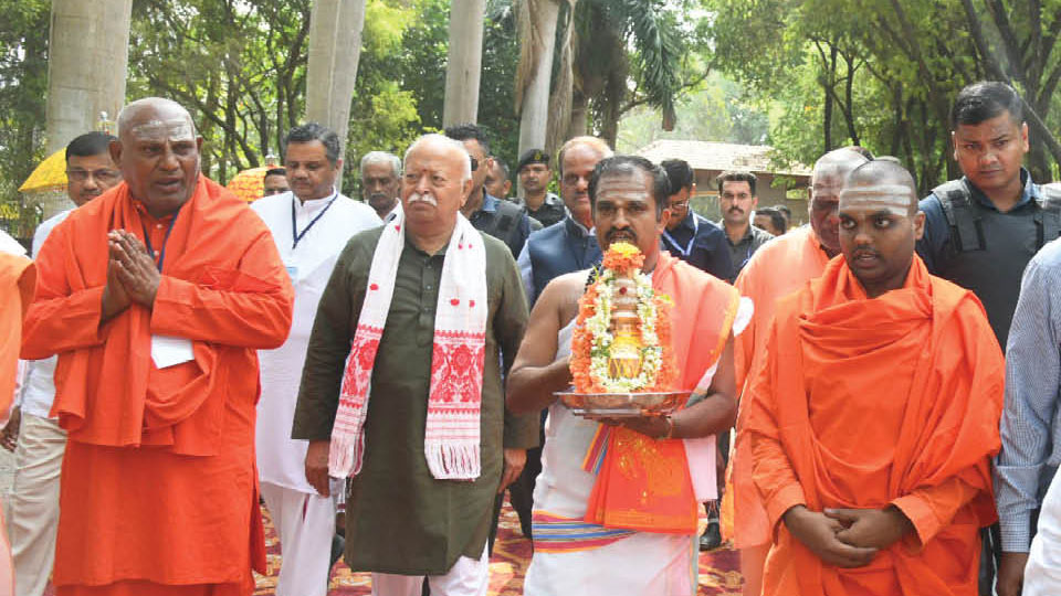 Social harmony is key to India’s progress: RSS Chief
