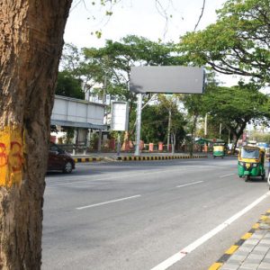 2,300 objections filed against 561 tree-felling