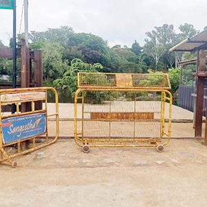 Tourist death during elephant clash: Dubare, Harangi Elephant Camps shut for two days