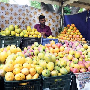 Mango and Jackfruit Mela in city: 100 tonnes sold, Rs. 35 lakh turnover