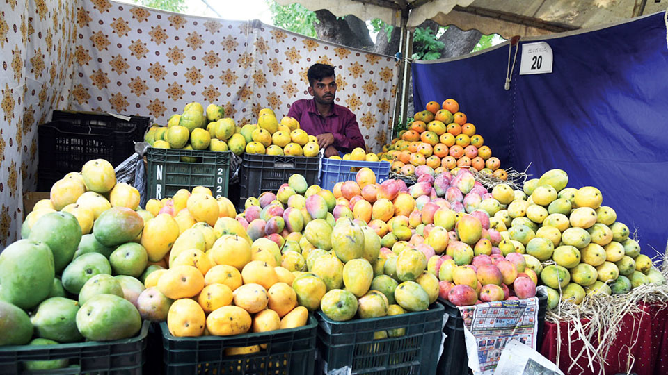 Mango and Jackfruit Mela in city: 100 tonnes sold, Rs. 35 lakh turnover