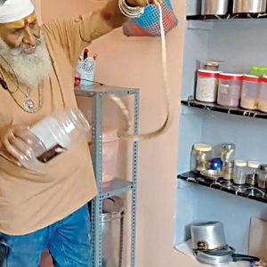 Snake in kitchen rescued