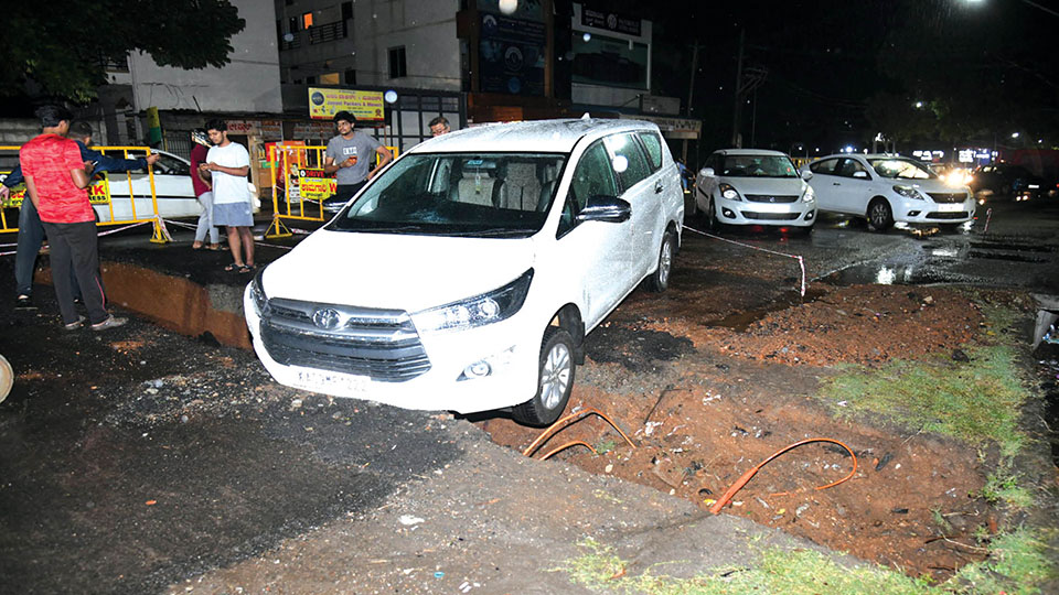 Thunderstorm brings down many trees in city
