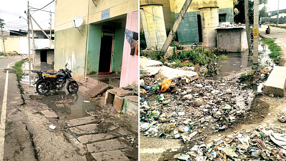 Yellamma Colony cries for help