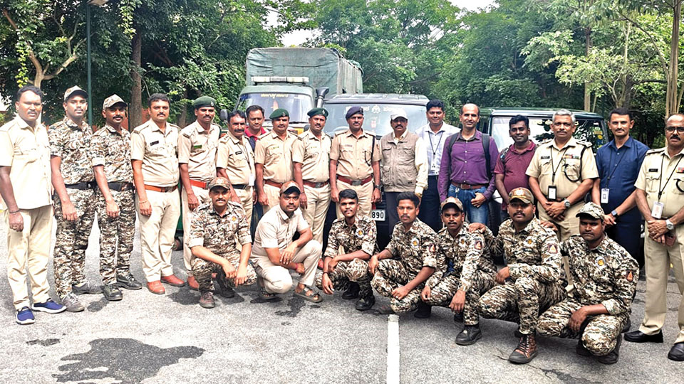Leopard Task Force rescues 220 big cats in two years - Star of Mysore