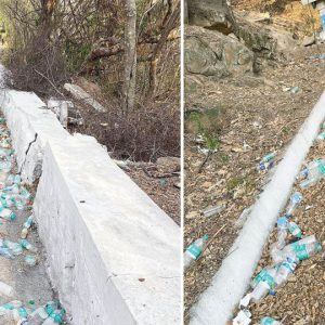 Plastic-free zone or plastic dump yard?