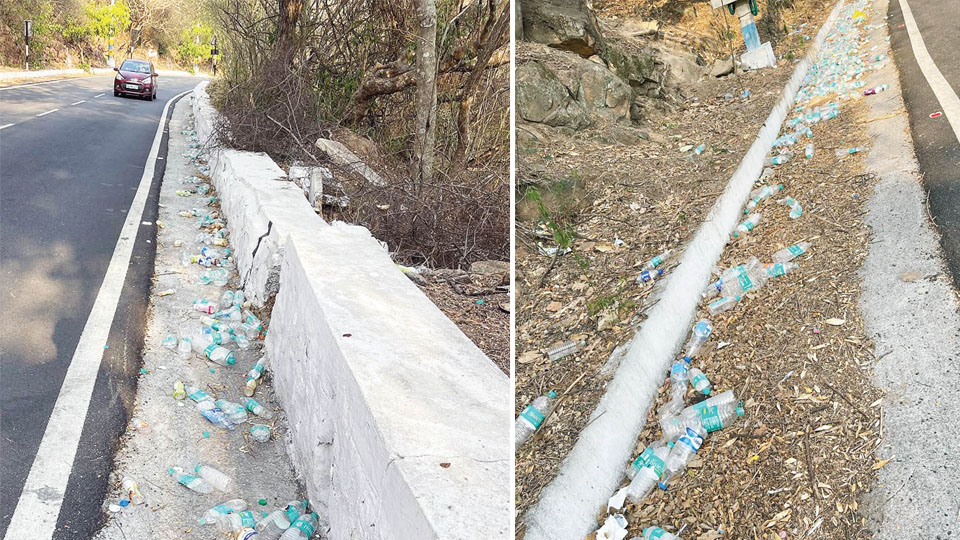 Plastic-free zone or plastic dump yard?