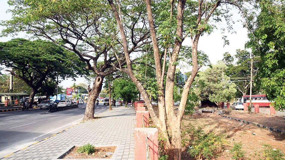 Protect Mysuru’s Green Heritage