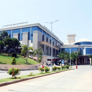 12 patients die in 48 hours