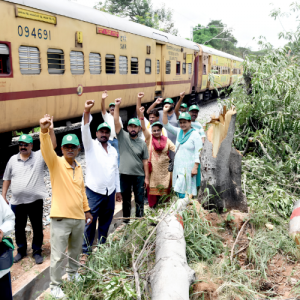 Over 30 trees felled along railway line; FIR ordered 