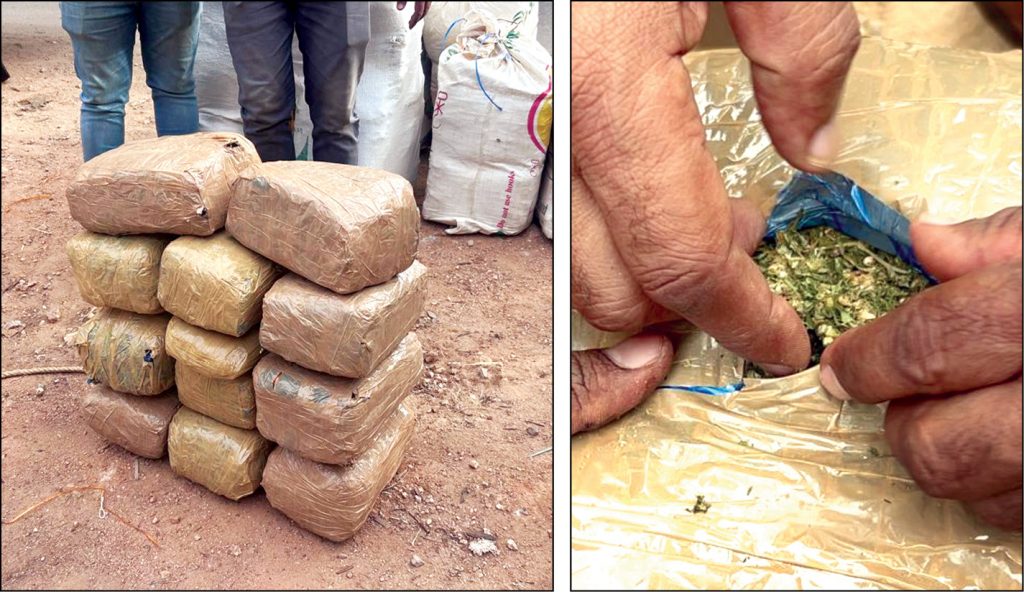Rs. 1.4 cr. Ganja seized