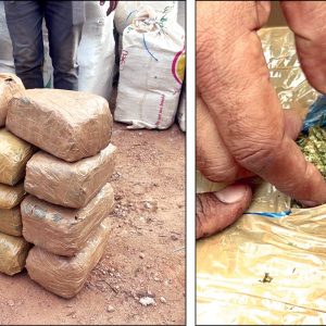 Rs. 1.4 cr. Ganja seized