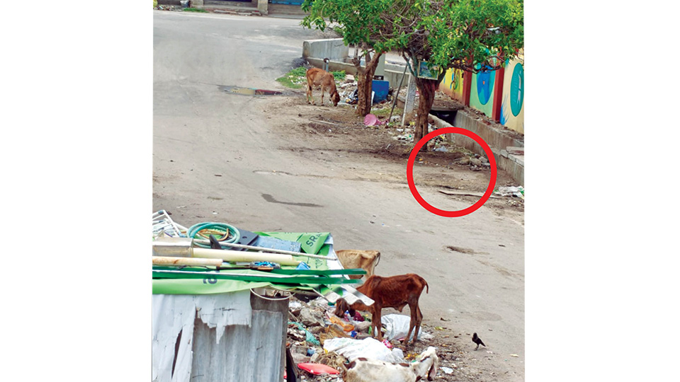 Heavy rains expose EVIL DEED as foetus washes up a drain