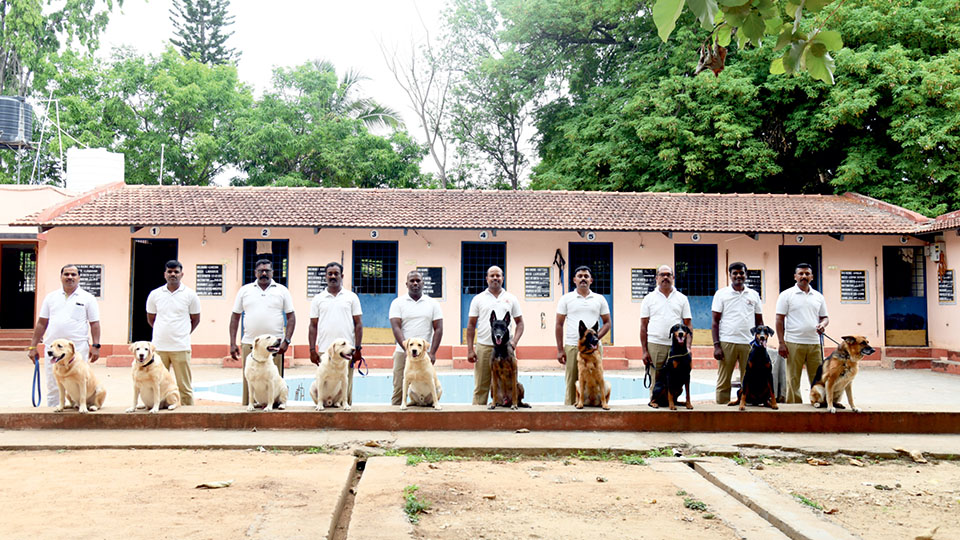 Sniffing out Crime