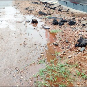 Plug this water leak at Dattagalli