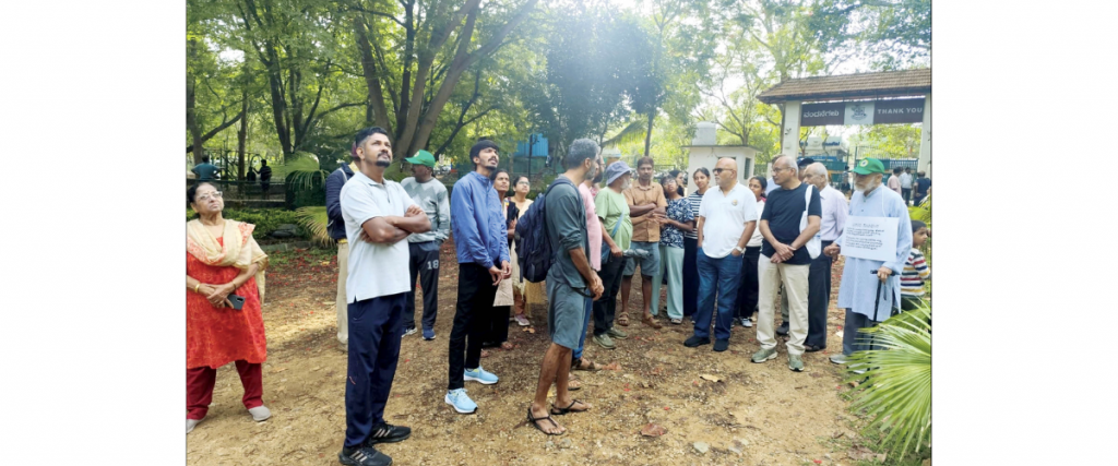 Nature lovers join ‘Kukkarahalli Kere Walk’