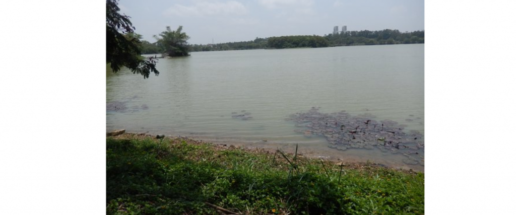 Beyond Hebbal Lake: Civic responsibility holds key