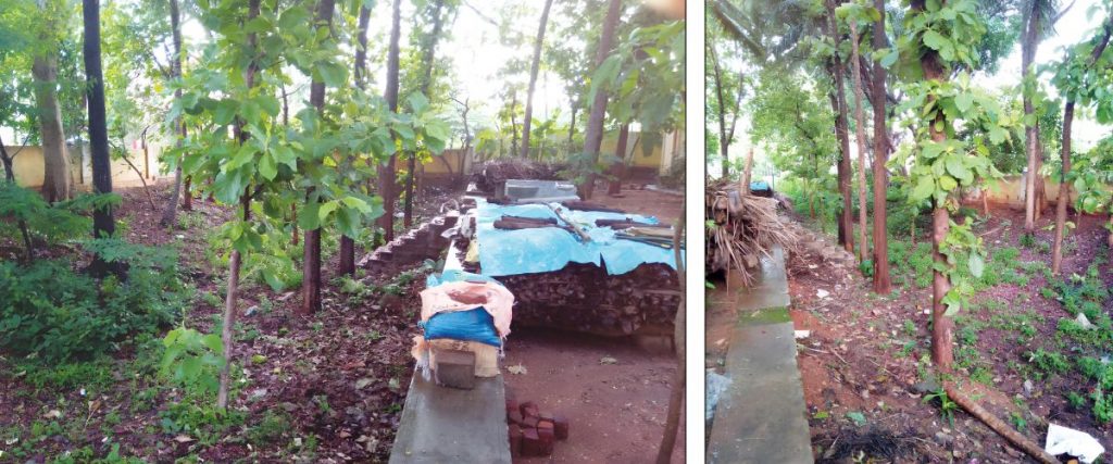 City’s Lalbagh to get Rs. 5 crore makeover: Kukkarahalli Lake’s drainage system could be affected: Expert