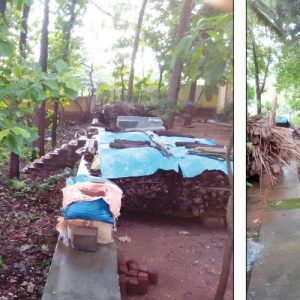 City’s Lalbagh to get Rs. 5 crore makeover: Kukkarahalli Lake’s drainage system could be affected: Expert