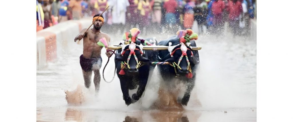Grants sought for Kambala